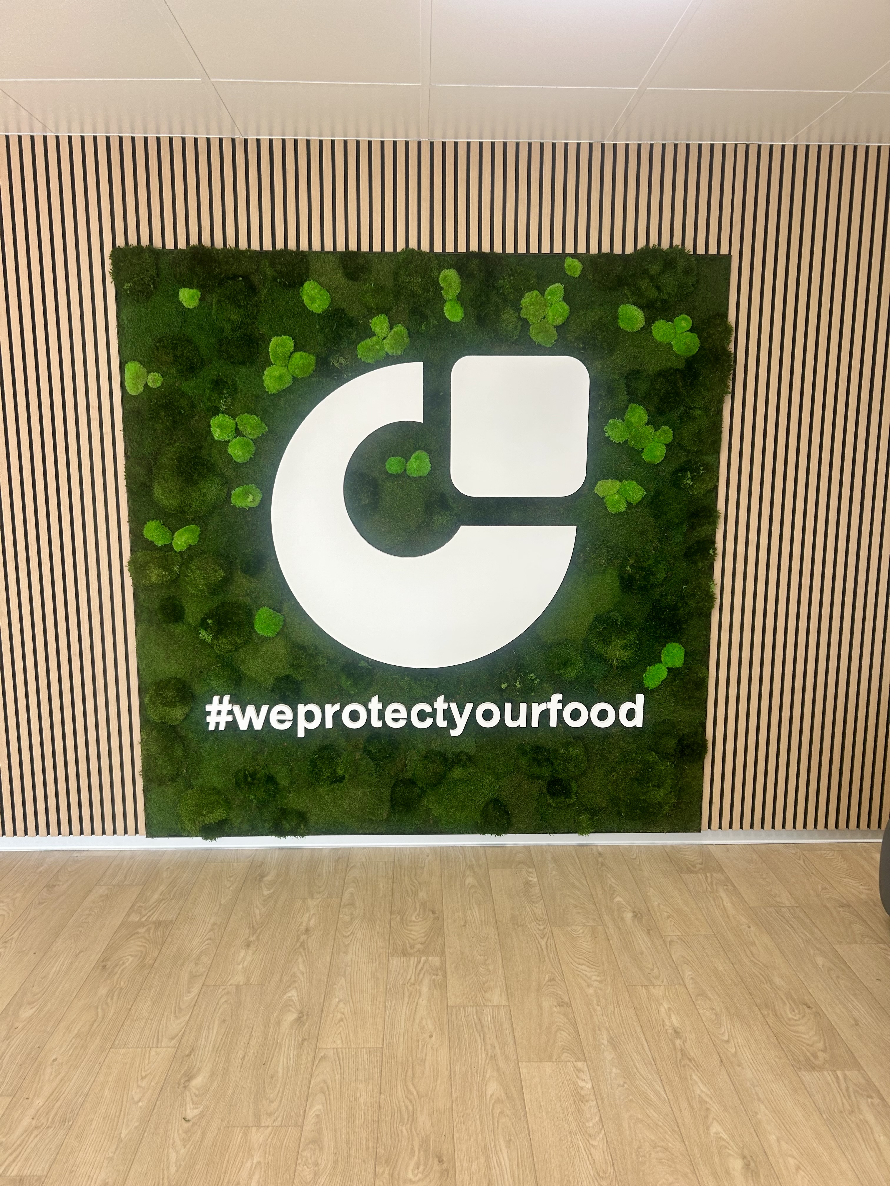Mur végétal pour hall d'accueil