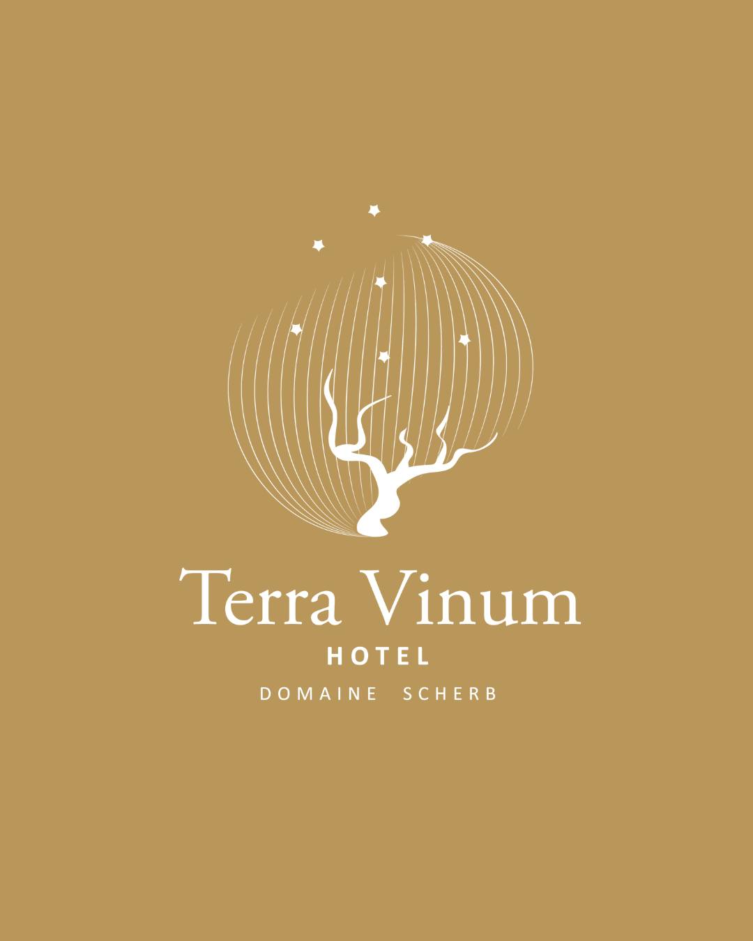 Logo Terra Vinum