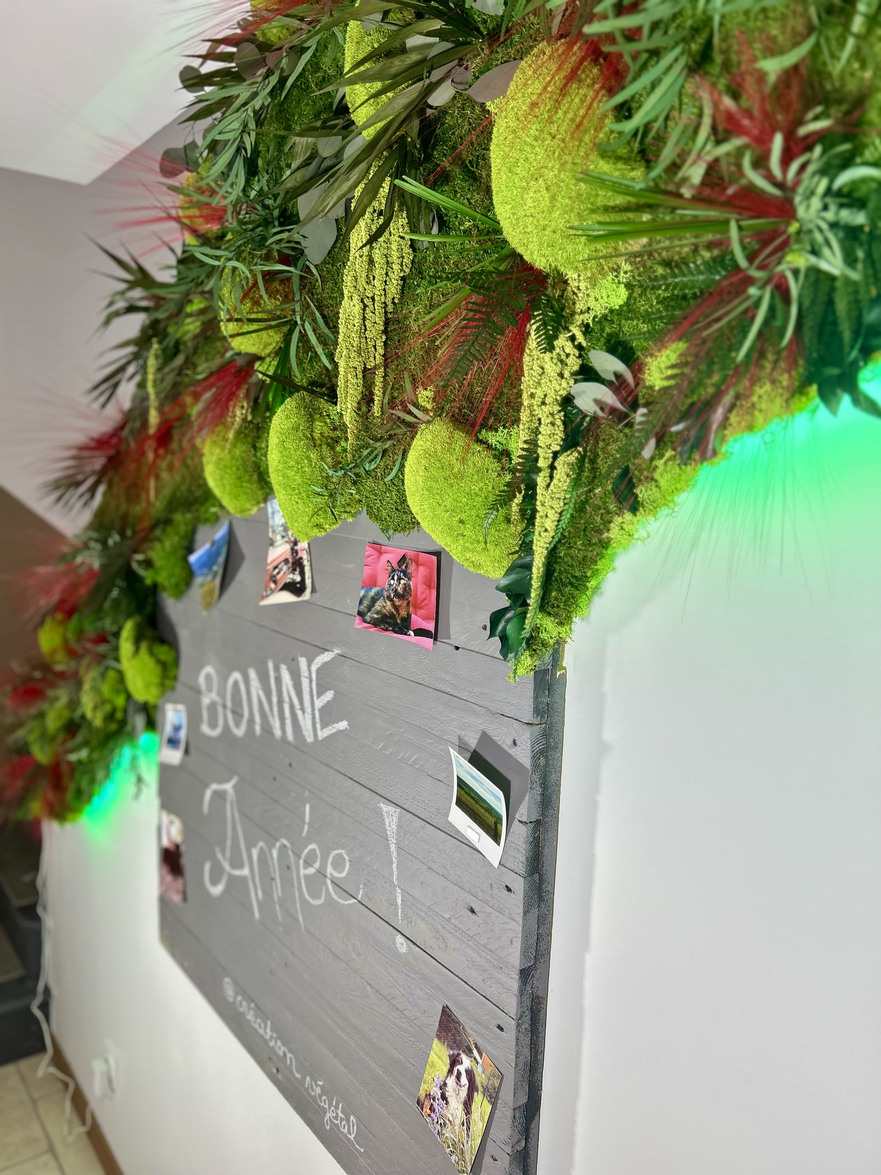 Mise en scène végétale intérieure